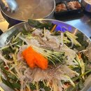 평택 산오징어 물회 맛집 , 고덕 산오징어 맛집 추천 자갈섬 고덕호수점 방문후기 !!
