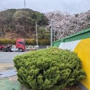 대청주유소 네이버블로그