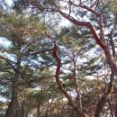 흥해서부초등학교 | 1599집 포항, 흥해 북송리 북천수 숲속으로 ...