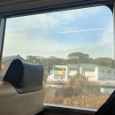 (1일여행)다자이후-야나가와열차패키지 이미지