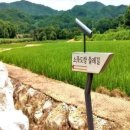 소뚝도랑 둘레길 네이버블로그