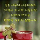 짠 Daum카페