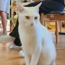 책숲길도서관 이미지