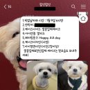 럽잇(Love it) 이미지