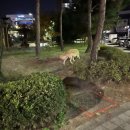 인식카닥터 이미지