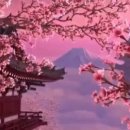 서한상사