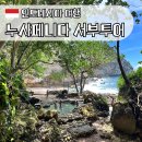 서부부분정비 | 누사페니다 서부투어 후기(앤젤빌라봉, 브로큰비치, 클링킹비치, 템벨링 비치), 준비물 및 코스 추천