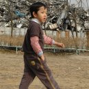 사랑방염색