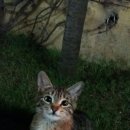 대전동신과학고등학교 이미지