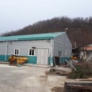 금산농부