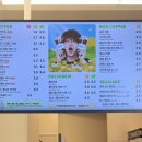 매머드익스프레스서귀포일호