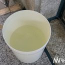 논산시청사 이미지