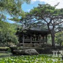 보길윤선도원림 이미지