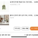 [Tㅔ무리뷰] 테무무새의 내돈내산 인테리어 소품 쇼핑 후기 (feat. 만칠천원의 행복)