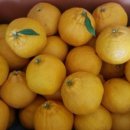 다솜농장 이미지