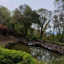 용인자연휴양림 이미지