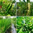 빌드트리강남공인중개사사무소 이미지