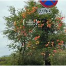 자유로행정사 이미지