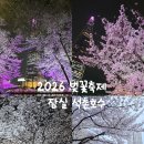 세븐수안보점 | 2026 잠실 석촌호수 벚꽃축제 만개 상황 밤 데이트 추천