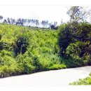 현저 공중화장실 이미지