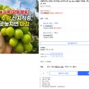 딱 3시간만! 맘카페 회원님들께만 드리는 프리미엄 샤인머스캣 특가💚 이미지