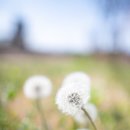 침산문화회관 이미지