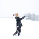 성철목장 이미지