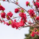 이천시 설봉공원 테니스장 | 이천 설봉공원 아침운동 &amp; 산책하기 좋은 곳