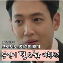 가진개 | 프로보노 후기 야망캐 정경호 몰락과 기회 feat.개 절도 사건 사이다 해결법