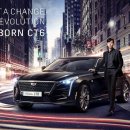 카매니지먼트 이미지