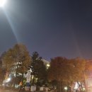 도약로207번길 이미지