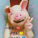 신주중학교 이미지