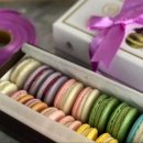 장미관문 이미지