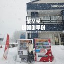 일본 삿포로 3월말 비에이투어 하루하루버스투어 내돈내산 솔직후기