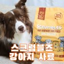 형제환경 | 기호성 좋은 스크럼블즈 독 어덜트 사료 보더콜리 형제들의 급여 후기