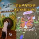 동강생태정보센터 이미지