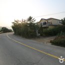 별이든 티스토리