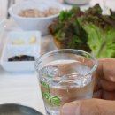 삼척홀릭