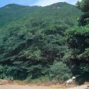 운림산방 소치기념관 1~2 이미지