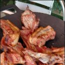 더 스테이584 이미지