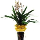 꽃사랑플라워 이미지