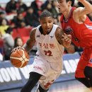 현대인삼 이미지