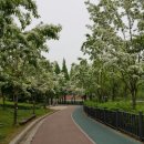 면목도시개발 이미지