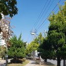 월성초등학교(병설유치원) 이미지