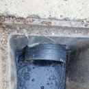 교리초등학교 앞 이미지