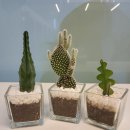 닥터포커스스터디카페중산센터 이미지