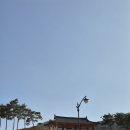 화랑마을 | 경주 아이랑 경주화랑마을, 유아숲체험 후기 ㅣ 경주아이랑가볼만한곳