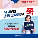 아름동(보듬로) 이미지