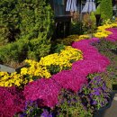 삼선산 수목원 이미지