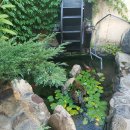 미성민박 이미지